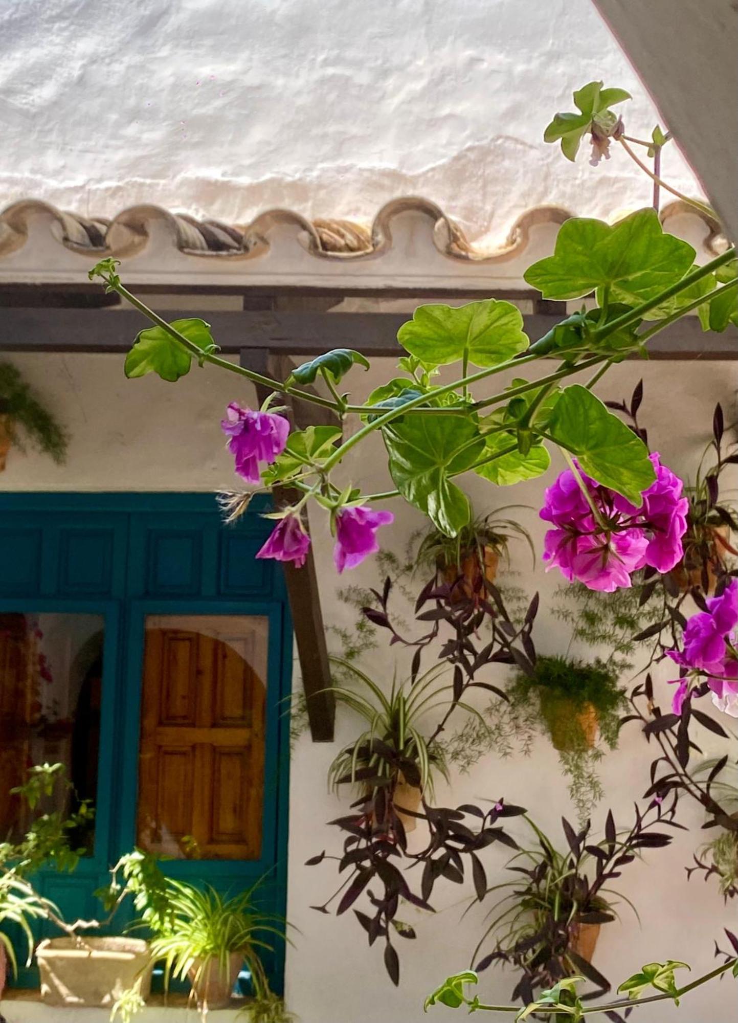 La Buganvilla De Santiago Kordoba Bagian luar foto
