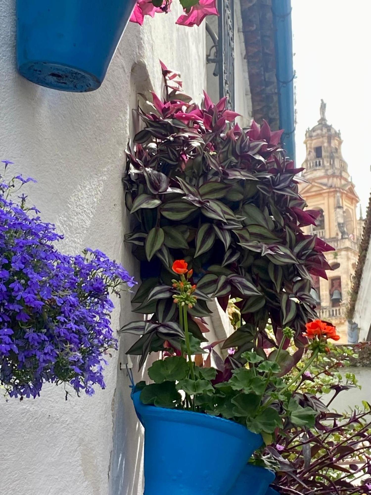 La Buganvilla De Santiago Kordoba Bagian luar foto
