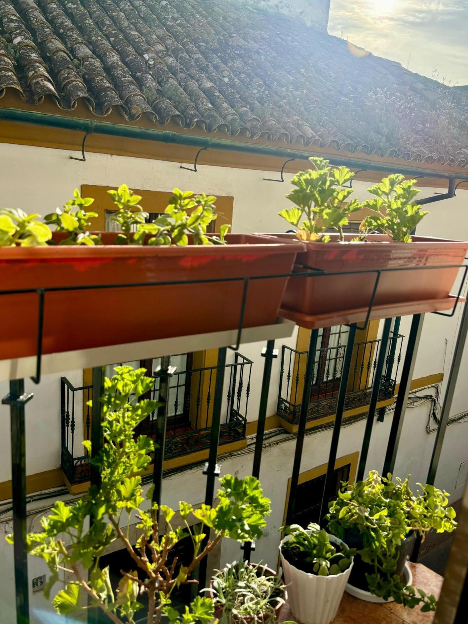 La Buganvilla De Santiago Kordoba Bagian luar foto