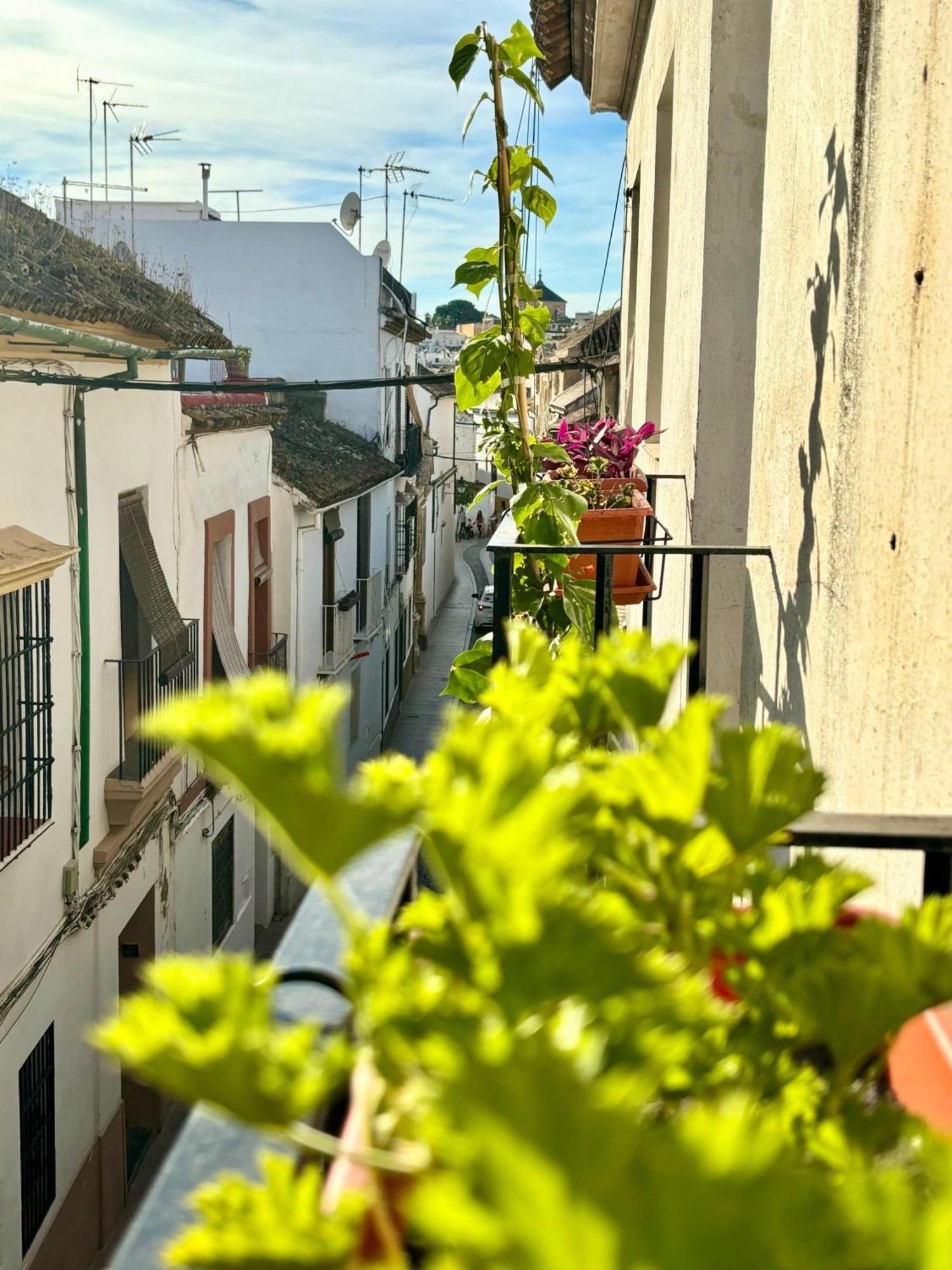La Buganvilla De Santiago Kordoba Bagian luar foto